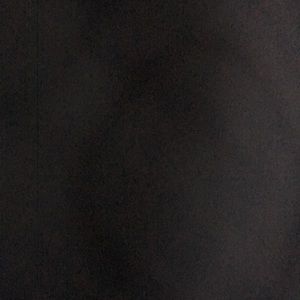 Meet your Posher, Shantel